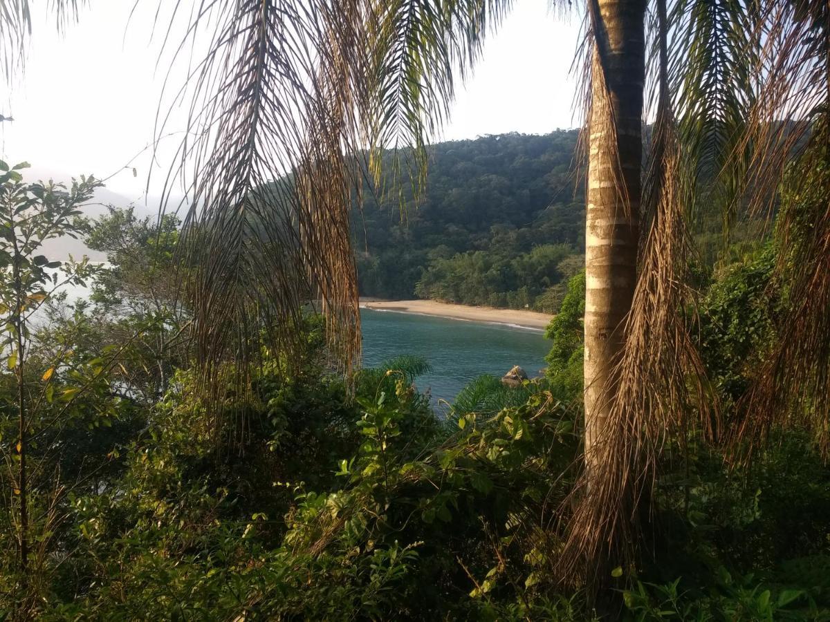 Harmonia Jkl Container * Ubatuba